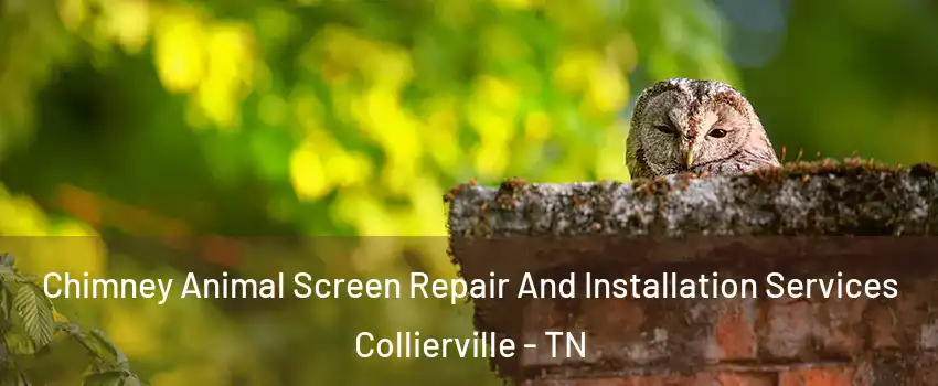  Chimney Animal Screen Repair And Installation Services Collierville - TN