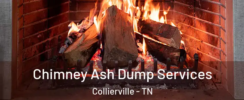  Chimney Ash Dump Services Collierville - TN