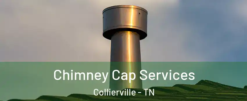  Chimney Cap Services Collierville - TN