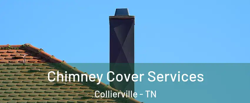  Chimney Cover Services Collierville - TN