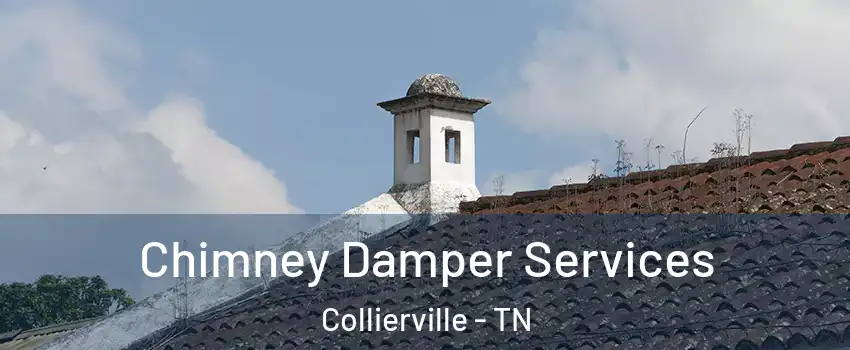  Chimney Damper Services Collierville - TN