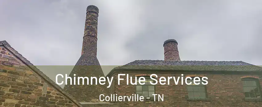  Chimney Flue Services Collierville - TN