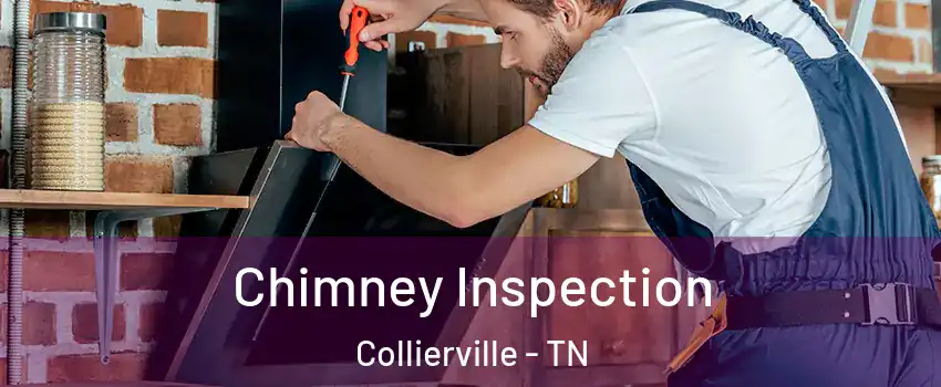  Chimney Inspection Collierville - TN