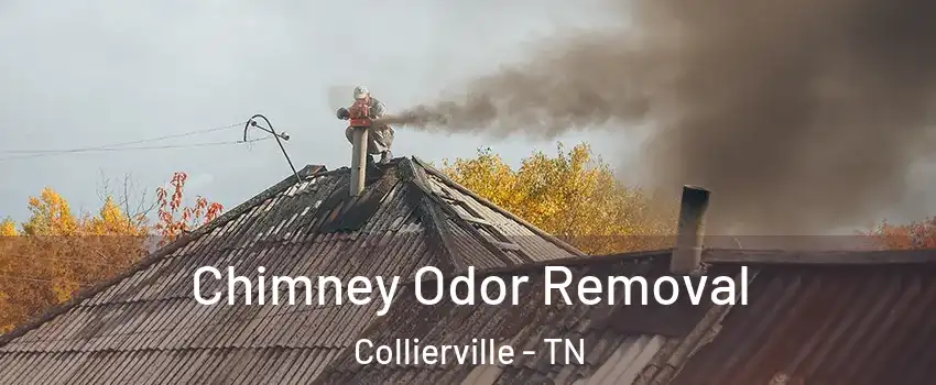 Chimney Odor Removal Collierville - TN