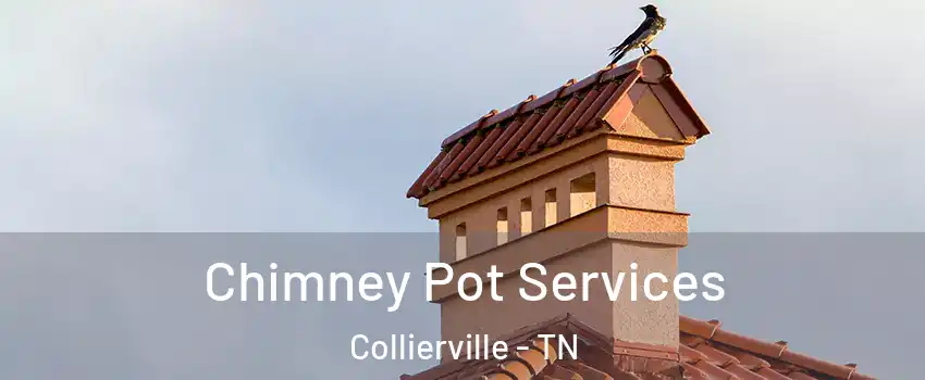  Chimney Pot Services Collierville - TN