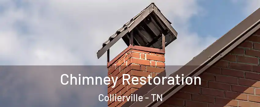  Chimney Restoration Collierville - TN