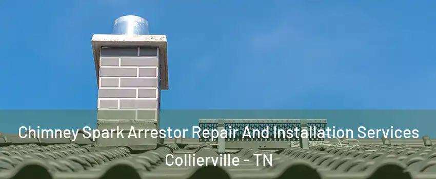  Chimney Spark Arrestor Repair And Installation Services Collierville - TN