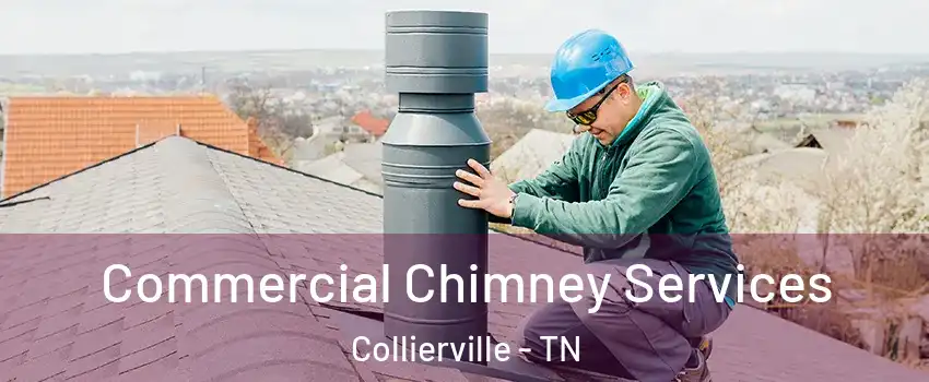  Commercial Chimney Services Collierville - TN