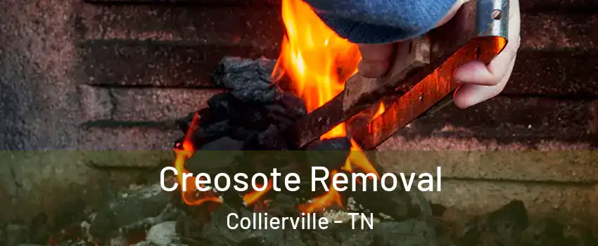  Creosote Removal Collierville - TN