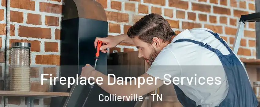  Fireplace Damper Services Collierville - TN