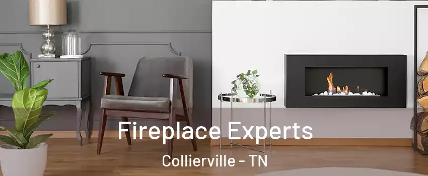  Fireplace Experts Collierville - TN