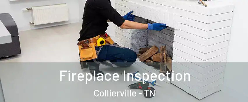  Fireplace Inspection Collierville - TN
