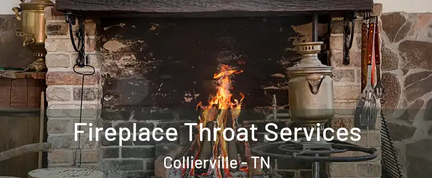  Fireplace Throat Services Collierville - TN
