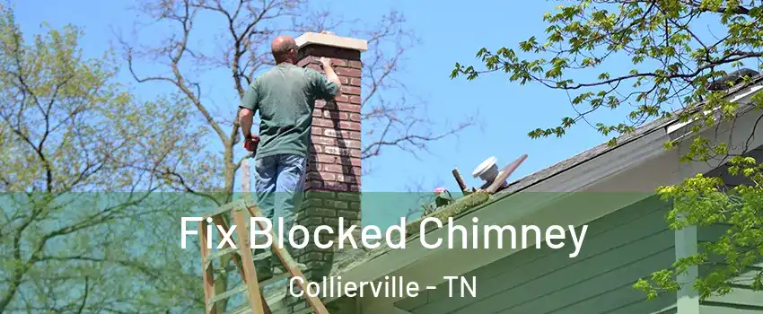  Fix Blocked Chimney Collierville - TN