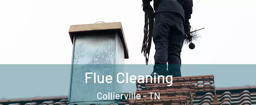  Flue Cleaning Collierville - TN