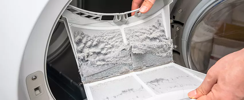 Best Dryer Lint Removal Company in Collierville, Tennessee