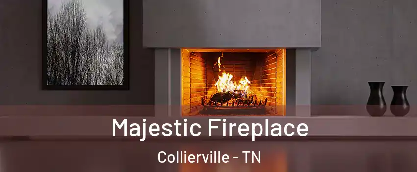  Majestic Fireplace Collierville - TN