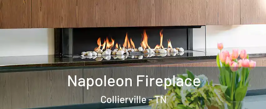  Napoleon Fireplace Collierville - TN