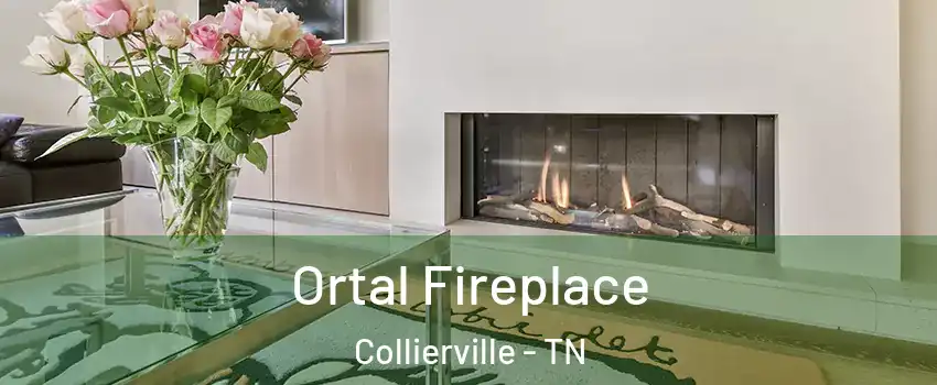  Ortal Fireplace Collierville - TN
