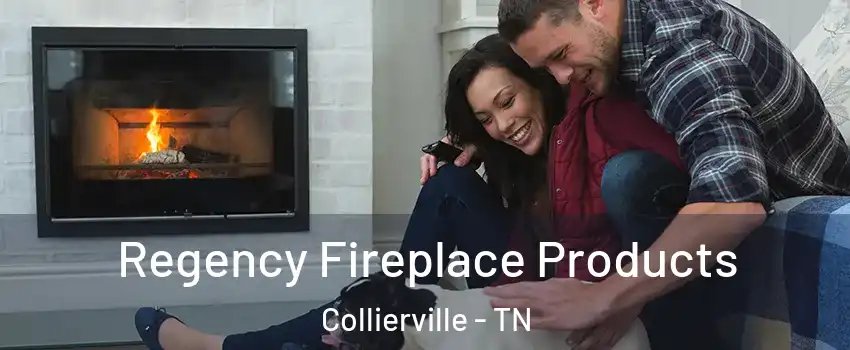  Regency Fireplace Products Collierville - TN