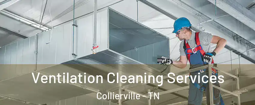  Ventilation Cleaning Services Collierville - TN